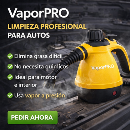 Vapor PRO – Limpieza Profesional para Autos